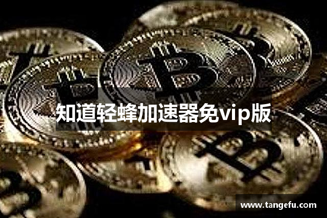 知道轻蜂加速器免vip版